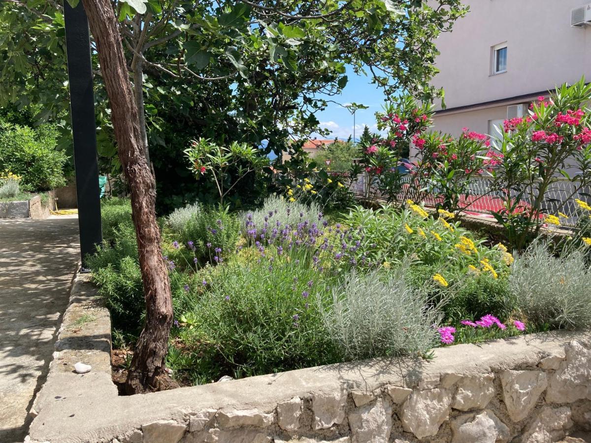 נובי ווינודולסקי Apartman Vitamare 160 M From The Beach מראה חיצוני תמונה